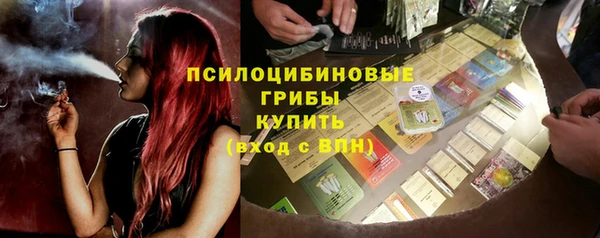 гидропоника Абаза