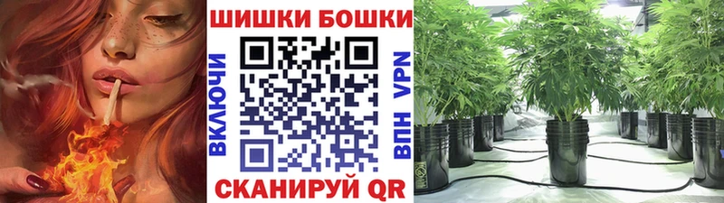 Бошки марихуана THC 21%  купить наркоту  Алагир 